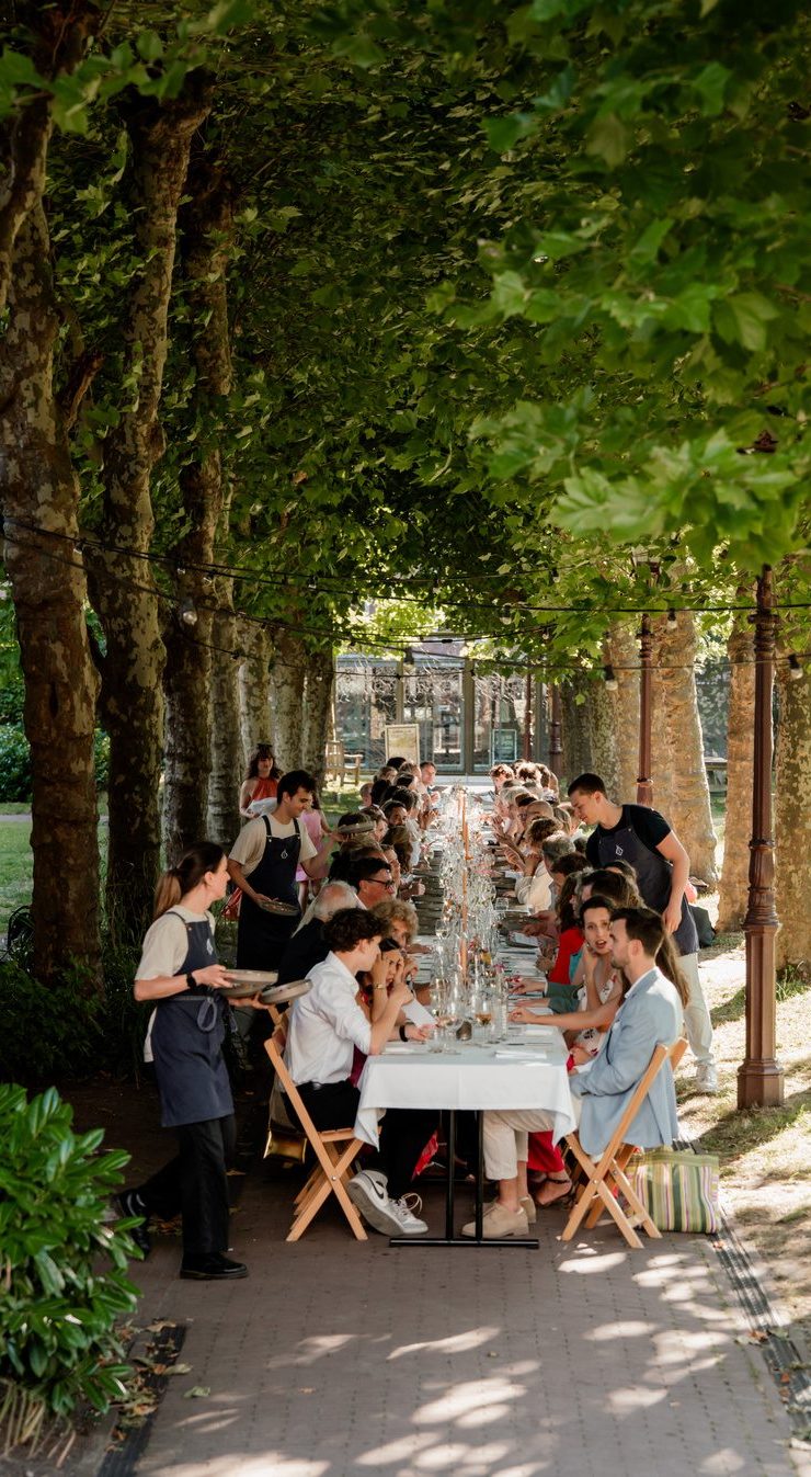 Dinner under the avenue of trees